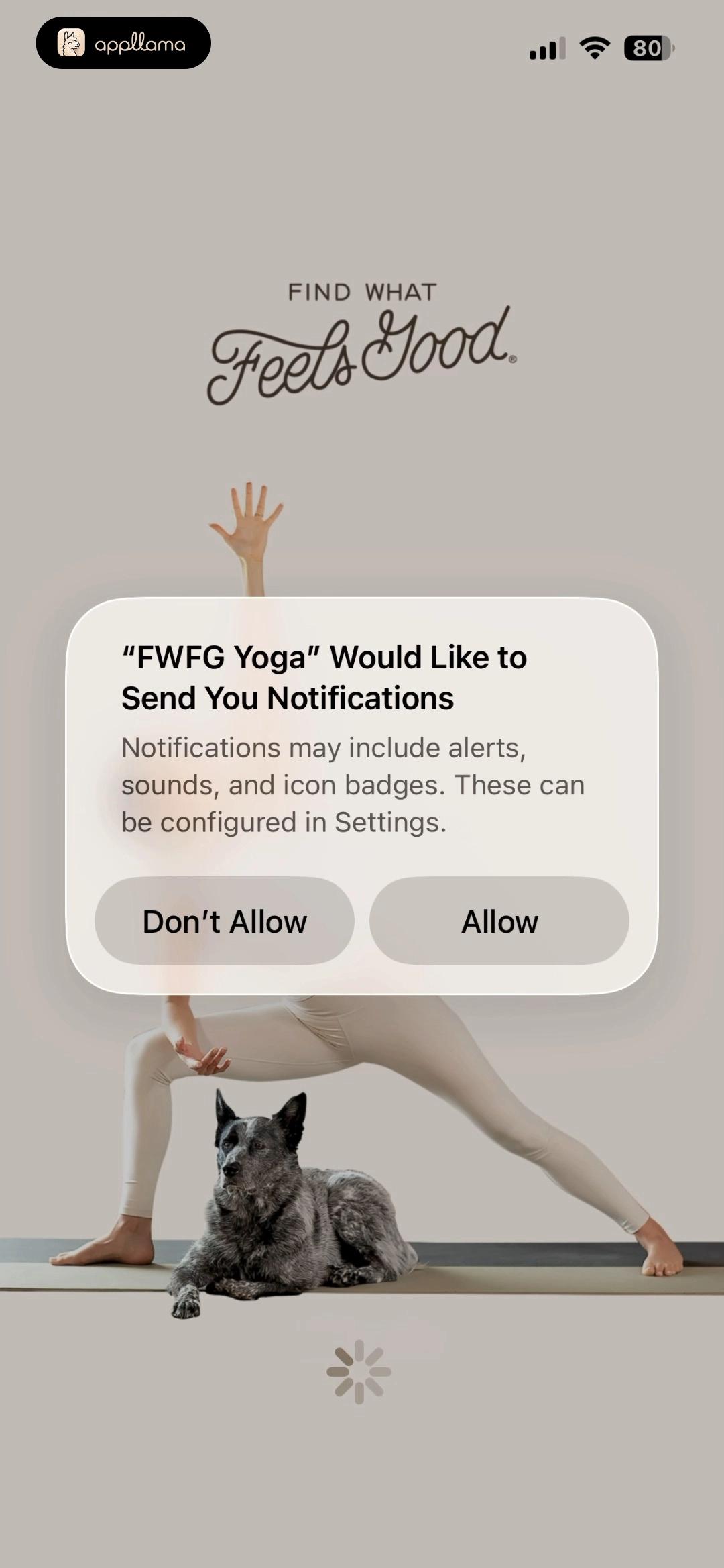 Notification Permission